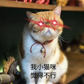 红眼特效我小猫咪觉得不行拒绝表情包