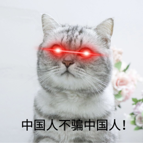 红眼特效猫咪中国人不骗中国人表情包