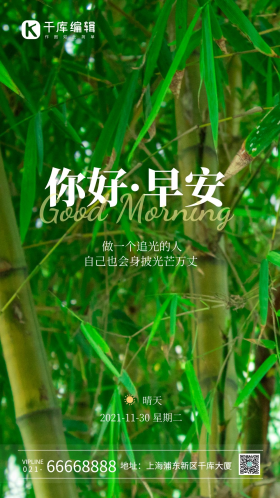 问候你好早安绿色风光竹林摄影图海报