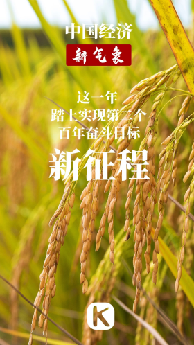 中国经济新气象稻田稻谷下午稻谷农村摄影图海报