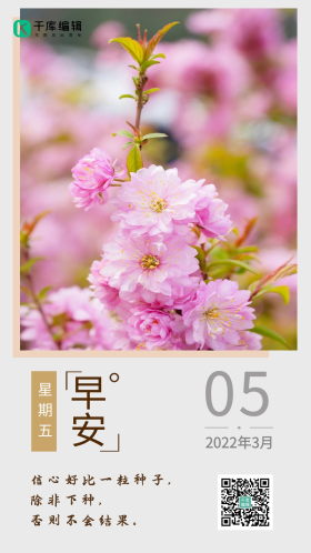 日签早安樱花心语心情手机海报简约日历海报