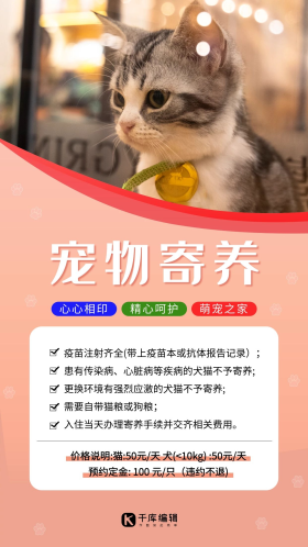 宠物寄养猫粉色简约海报