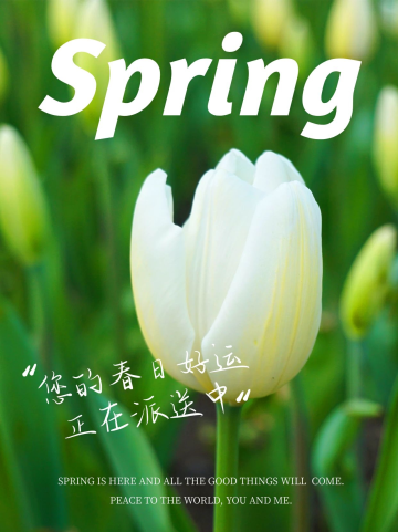 清新春天郁金香绿色简约风小红书封面