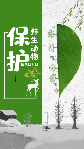 手绘插画保护野生动物海报