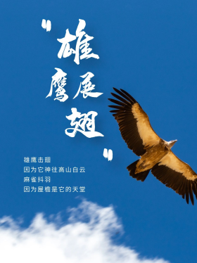 简约大气文艺雄鹰励志早安小红书封面