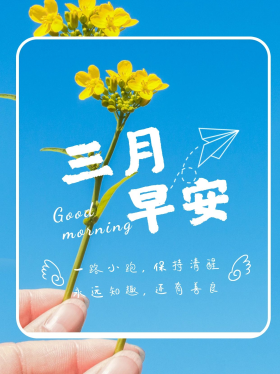清爽三月早安油菜花蓝色摄影小清新小红书