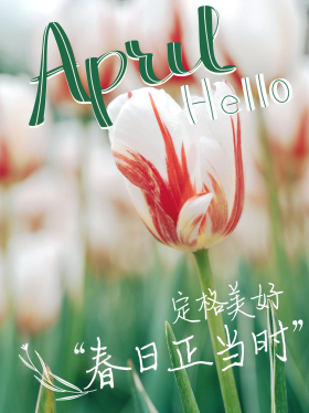 春日限定图片-素材-模板在线设计制作-千库编辑