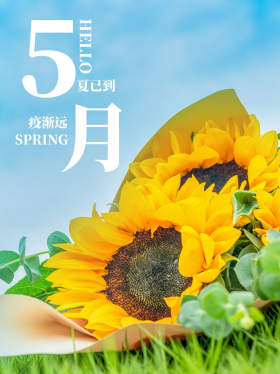 5月你好摄影图向日葵蓝色简约小红书