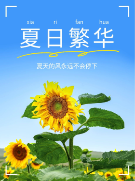 蓝天夏日繁华向日葵蓝色简约风小红书封面