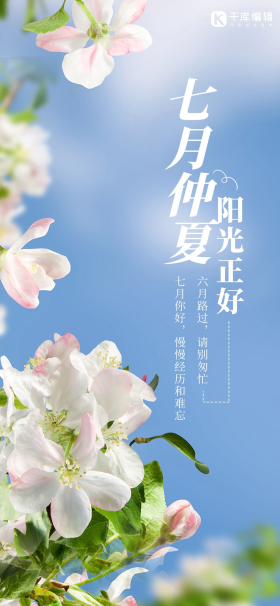 盛夏阳光七月你好夏天花朵植物蓝色简约全屏海报