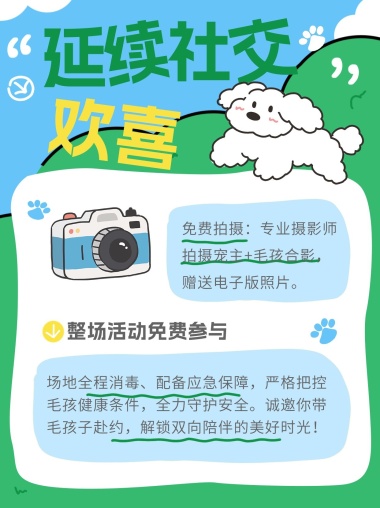 宠物活动小狗相机绿色蓝色卡通小红书封面