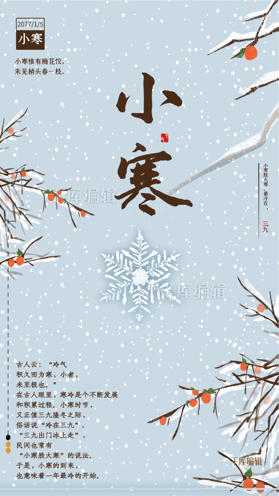 简约唯美二十四节气之小寒海报