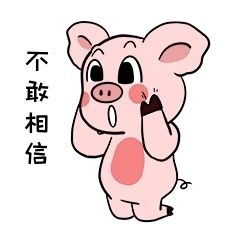 小猪动物哇塞表情包