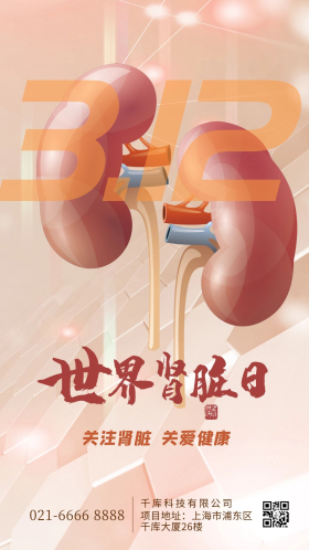 世界肾脏日肾红色创意简约海报