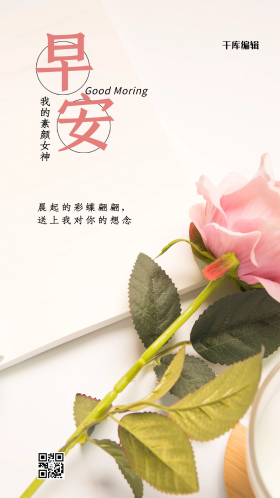 早安玫瑰粉色摄影图海报