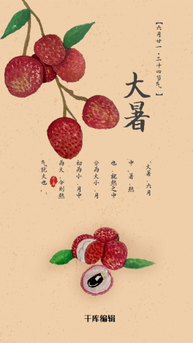 手绘荔枝大暑闪屏启动页引导页
