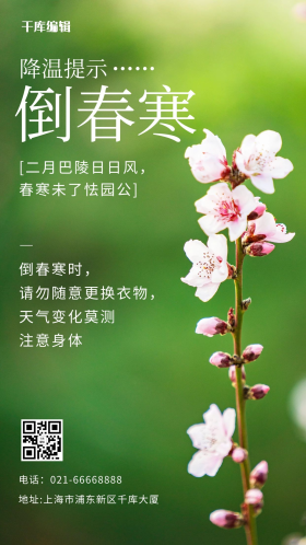 倒春寒温馨提示春天桃花绿色摄影风手机海报