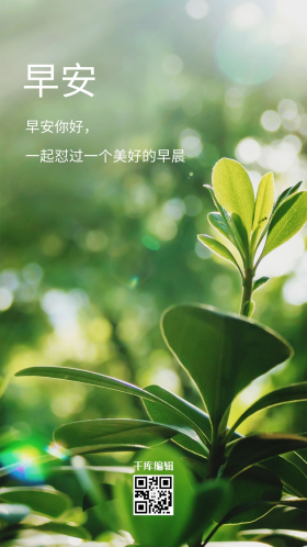 早安摄影图叶子绿色创意海报
