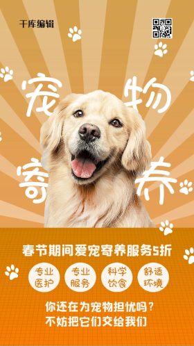 宠物寄养黄色卡通海报
