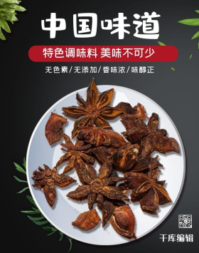 中国味道传统调味料电商banner