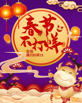 春节不打烊活动海报