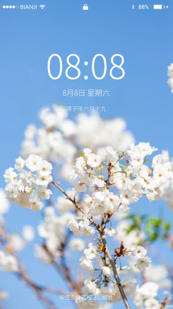 浪漫的樱花春天花公园赏花摄影图配图壁纸