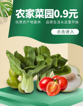 农家菜园特惠果蔬绿色简约风