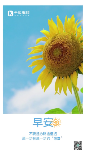 早安实拍向日葵每日一签祝福视频