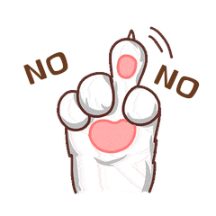 包叠猫组队no拒绝不行动图gif