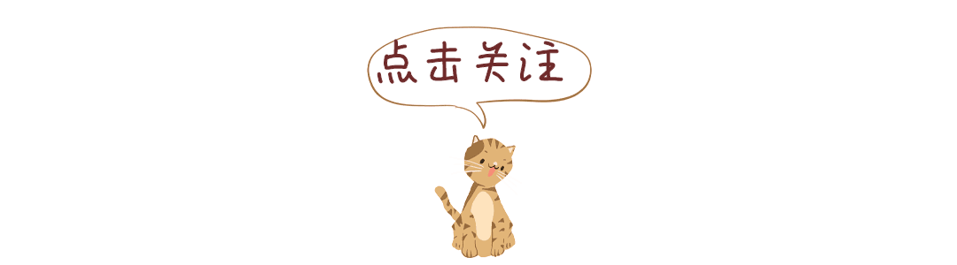 点击关注猫咪动态图