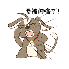 要被闪瞎了可爱小狗闪瞎眼动态表情包