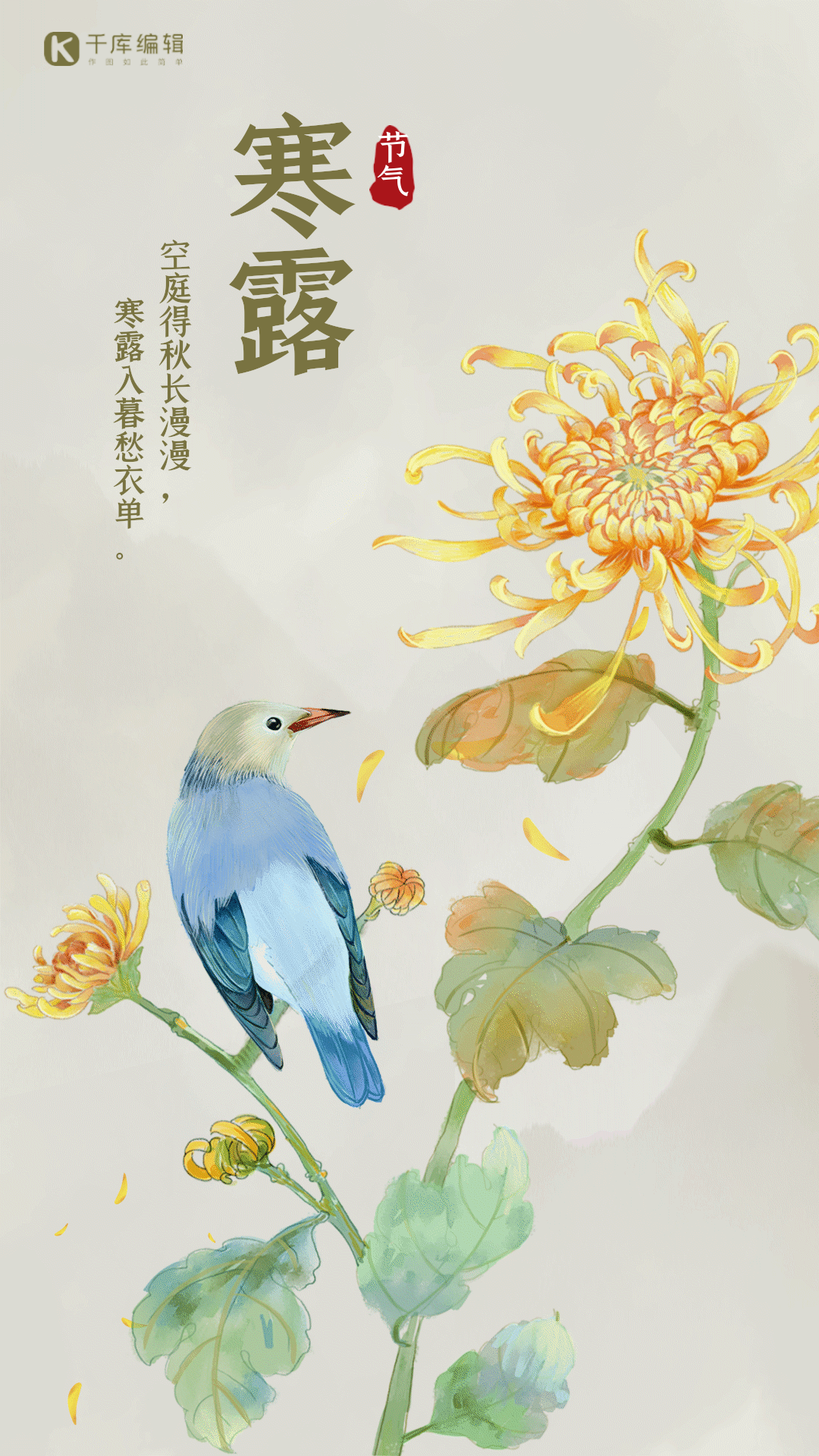 寒露节气水彩花鸟菊花gif动态海报